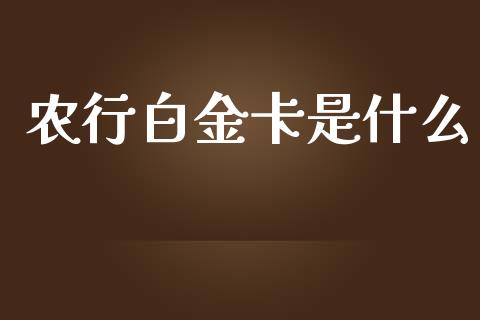 农行白金卡是什么_https://m.gongyisiwang.com_商业资讯_第1张