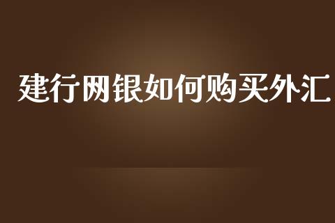 建行网银如何购买外汇_https://m.gongyisiwang.com_债券咨询_第1张