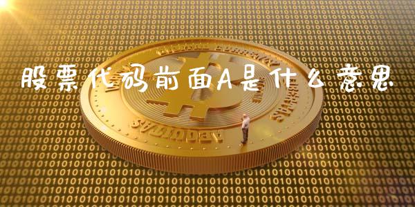 股票代码前面A是什么意思_https://m.gongyisiwang.com_债券咨询_第1张