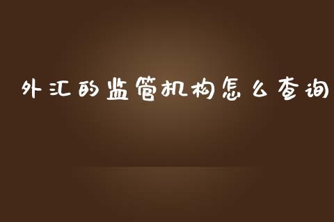 外汇的监管机构怎么查询_https://m.gongyisiwang.com_理财投资_第1张