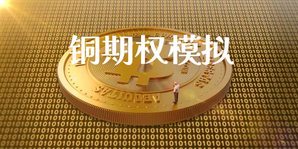 铜期权模拟_https://m.gongyisiwang.com_财经咨询_第1张