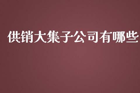 供销大集子公司有哪些_https://m.gongyisiwang.com_理财产品_第1张