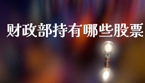 财政部持有哪些股票_https://m.gongyisiwang.com_财经咨询_第1张