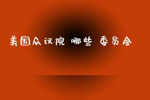 美国众议院 哪些 委员会_https://m.gongyisiwang.com_债券咨询_第1张