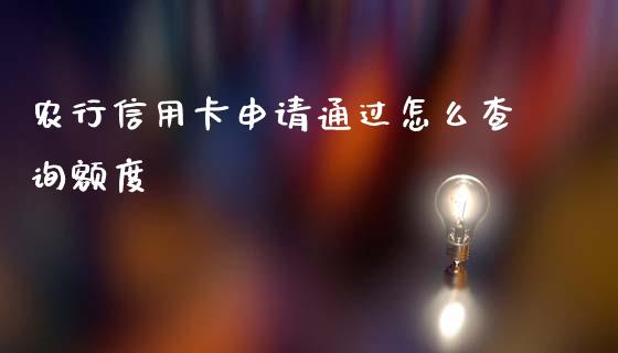 农行信用卡申请通过怎么查询额度_https://m.gongyisiwang.com_债券咨询_第1张