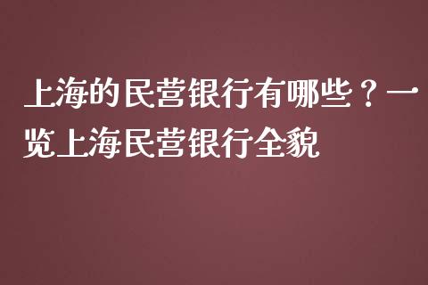 上海的民营银行有哪些？一览上海民营银行全貌_https://m.gongyisiwang.com_保险理财_第1张