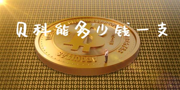 贝科能多少钱一支_https://m.gongyisiwang.com_理财投资_第1张