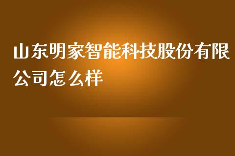 山东明家智能科技股份有限公司怎么样_https://m.gongyisiwang.com_债券咨询_第1张