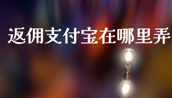 返佣支付宝在哪里弄_https://m.gongyisiwang.com_理财投资_第1张