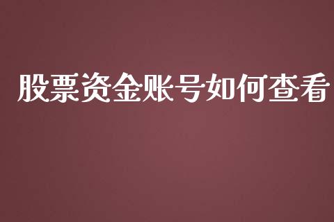 股票资金账号如何查看_https://m.gongyisiwang.com_理财投资_第1张