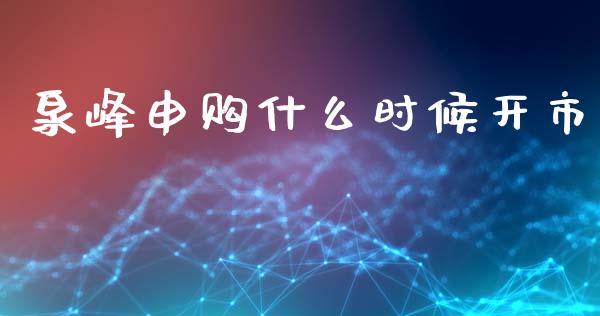 泉峰申购什么时候开市_https://m.gongyisiwang.com_债券咨询_第1张