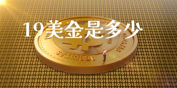 19美金是多少_https://m.gongyisiwang.com_理财投资_第1张