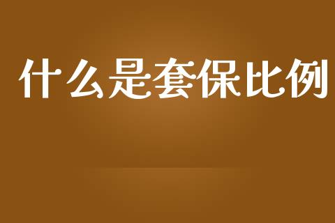 什么是套保比例_https://m.gongyisiwang.com_保险理财_第1张