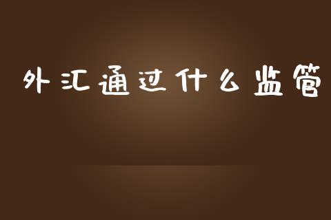 外汇通过什么监管_https://m.gongyisiwang.com_财经咨询_第1张