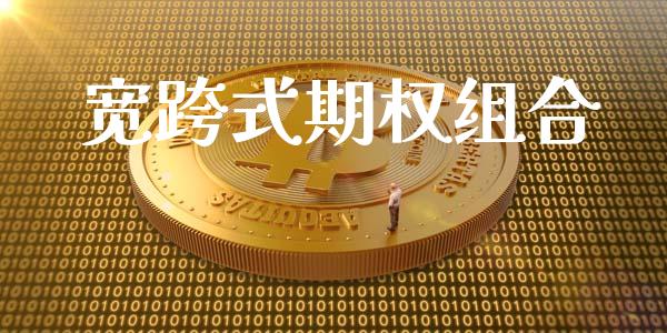 宽跨式期权组合_https://m.gongyisiwang.com_商业资讯_第1张