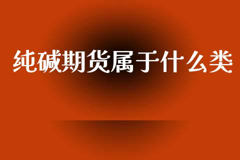 纯碱期货属于什么类_https://m.gongyisiwang.com_信托投资_第1张