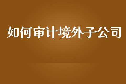 如何审计境外子公司_https://m.gongyisiwang.com_商业资讯_第1张