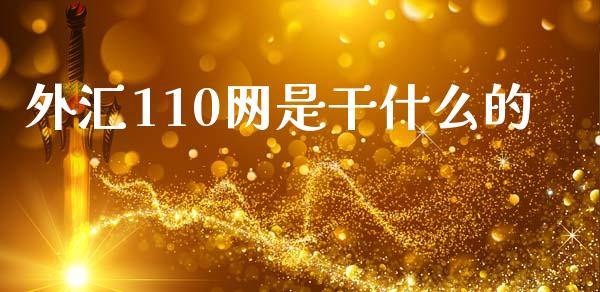 外汇110网是干什么的_https://m.gongyisiwang.com_财经咨询_第1张