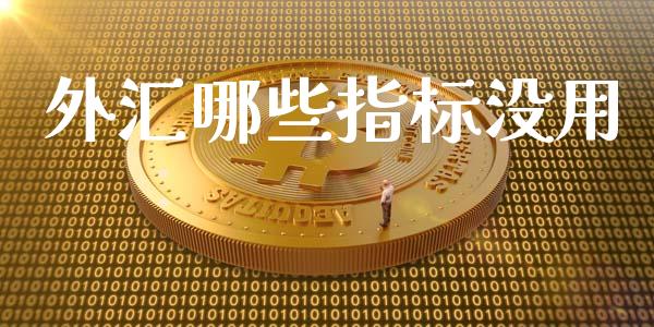 外汇哪些指标没用_https://m.gongyisiwang.com_债券咨询_第1张