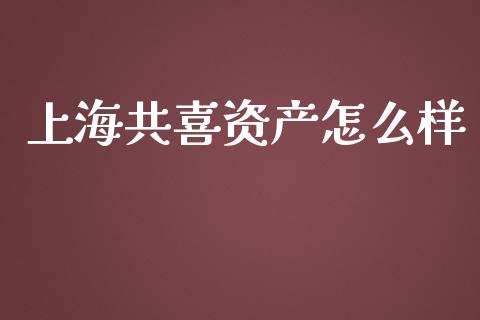 上海共喜资产怎么样_https://m.gongyisiwang.com_债券咨询_第1张