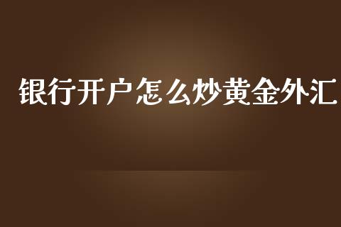 银行开户怎么炒黄金外汇_https://m.gongyisiwang.com_理财投资_第1张