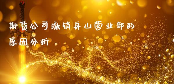 期货公司撤销舟山营业部的原因分析_https://m.gongyisiwang.com_理财投资_第1张