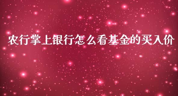 农行掌上银行怎么看基金的买入价_https://m.gongyisiwang.com_财经咨询_第1张