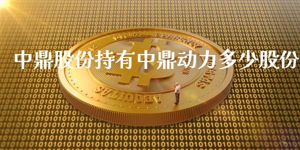 中鼎股份持有中鼎动力多少股份_https://m.gongyisiwang.com_财经咨询_第1张