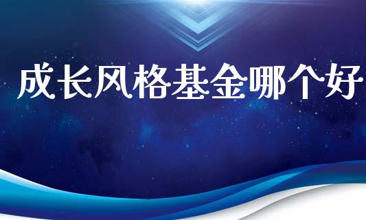 成长风格基金哪个好_https://m.gongyisiwang.com_保险理财_第1张