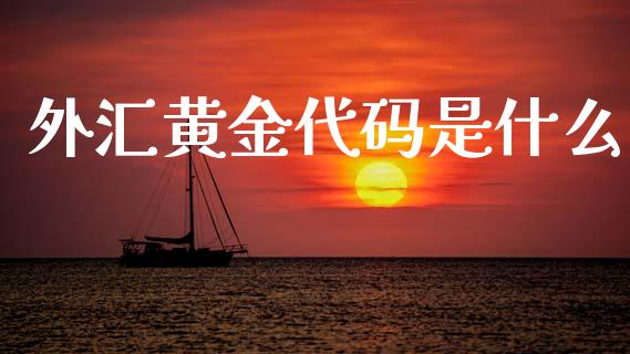 外汇黄金代码是什么_https://m.gongyisiwang.com_理财投资_第1张