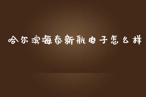 哈尔滨海泰新航电子怎么样_https://m.gongyisiwang.com_财经时评_第1张