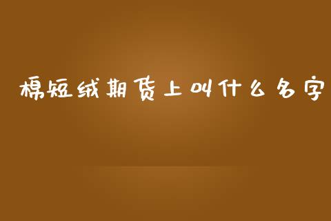 棉短绒期货上叫什么名字_https://m.gongyisiwang.com_保险理财_第1张