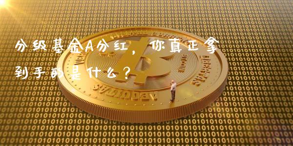 分级基金A分红，你真正拿到手的是什么？_https://m.gongyisiwang.com_商业资讯_第1张