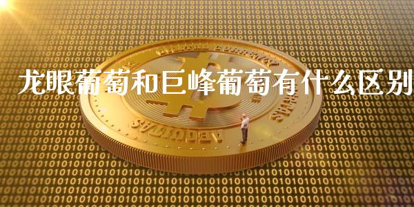 龙眼葡萄和巨峰葡萄有什么区别_https://m.gongyisiwang.com_商业资讯_第1张