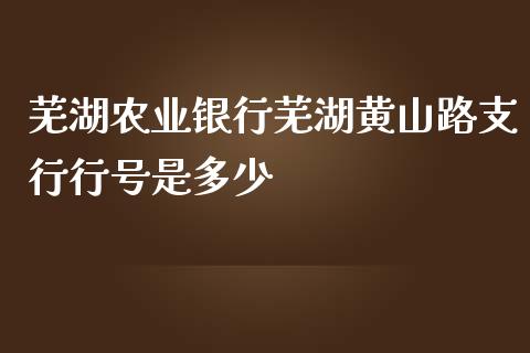 芜湖农业银行芜湖黄山路支行行号是多少_https://m.gongyisiwang.com_财经咨询_第1张