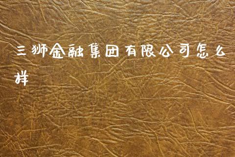 三狮金融集团有限公司怎么样_https://m.gongyisiwang.com_理财投资_第1张