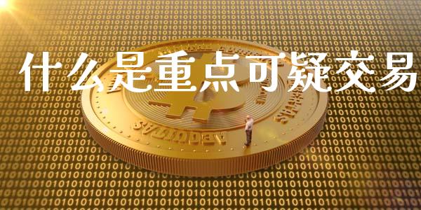 什么是重点可疑交易_https://m.gongyisiwang.com_财经咨询_第1张