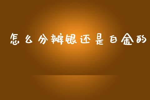 怎么分辨银还是白金的_https://m.gongyisiwang.com_理财产品_第1张