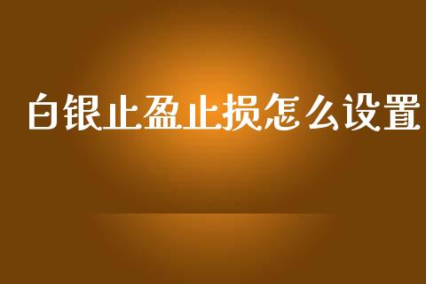 白银止盈止损怎么设置_https://m.gongyisiwang.com_财经咨询_第1张