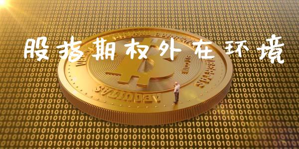 股指期权外在环境_https://m.gongyisiwang.com_理财产品_第1张