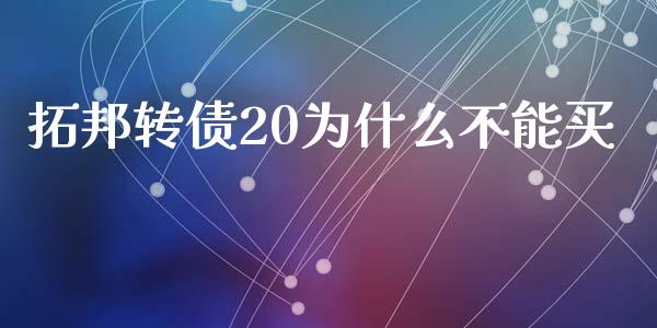 拓邦转债20为什么不能买_https://m.gongyisiwang.com_理财投资_第1张