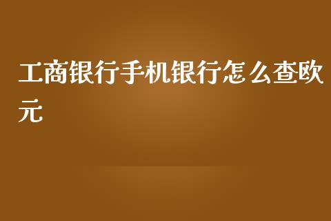 工商银行手机银行怎么查欧元_https://m.gongyisiwang.com_信托投资_第1张