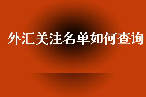 外汇关注名单如何查询_https://m.gongyisiwang.com_债券咨询_第1张