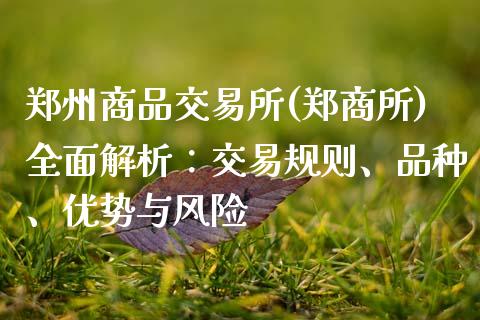 郑州商品交易所(郑商所)全面解析：交易规则、品种、优势与风险_https://m.gongyisiwang.com_债券咨询_第1张