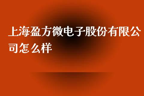 上海盈方微电子股份有限公司怎么样_https://m.gongyisiwang.com_商业资讯_第1张