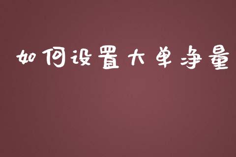 如何设置大单净量_https://m.gongyisiwang.com_信托投资_第1张