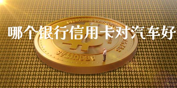 哪个银行信用卡对汽车好_https://m.gongyisiwang.com_财经咨询_第1张