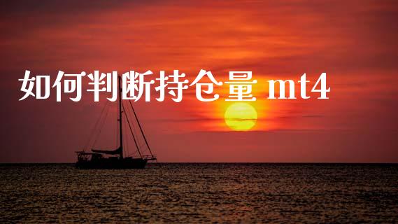 如何判断持仓量 mt4_https://m.gongyisiwang.com_理财产品_第1张