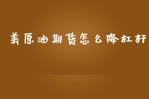 美原油期货怎么降杠杆_https://m.gongyisiwang.com_财经咨询_第1张