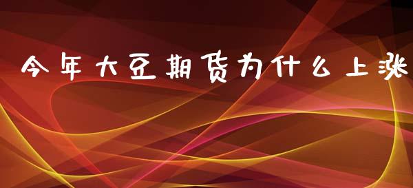 今年大豆期货为什么上涨_https://m.gongyisiwang.com_理财产品_第1张